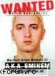 POZE - sweet cat - EMINEM