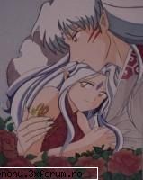 POZE - sweet cat - Inuyasha