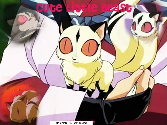 POZE - sweet cat - Inuyasha