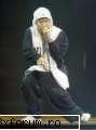 POZE - sweet cat - EMINEM