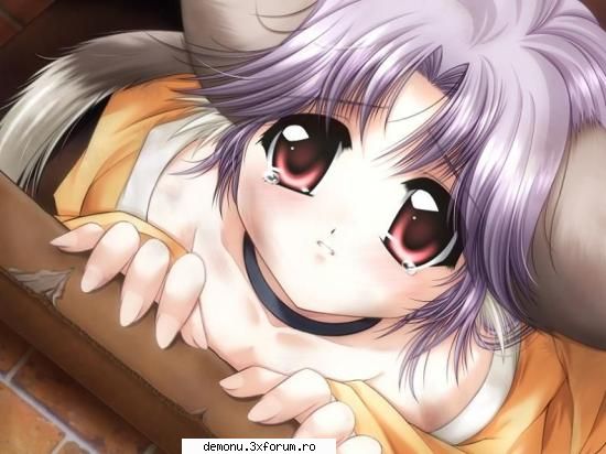 anime:girls,cat girls,elf,fairys,angels,evriting anime - dark magician girl - ANIME