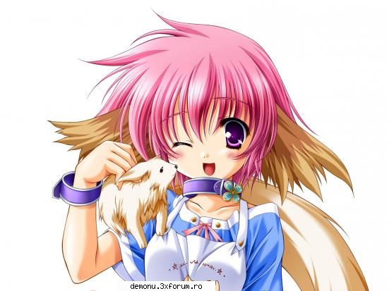 elf & fairys - dark magician girl - ANIME