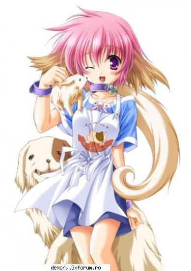 elf & fairys - dark magician girl - ANIME